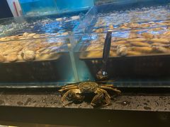 -九月海·海鲜自助(世纪东方店)