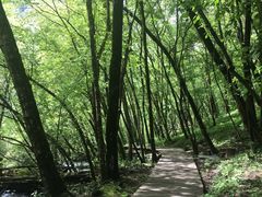 -叠溪松坪沟景区