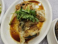 -粤·向群饭店(龙津东路总店)