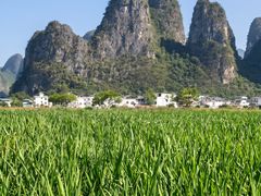 -钟山水墨田园
