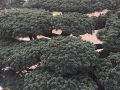-水绘园