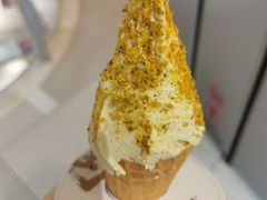 -野人先生现做冰淇淋(北京环宇荟店)