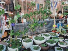 -秦美花卉(天朗·莱茵小城2期店)