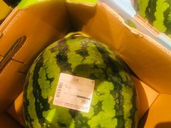 -新世界百货(明洞总店)