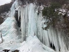 -少华山国家森林公园