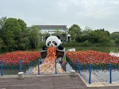 -苏州太湖国家湿地公园