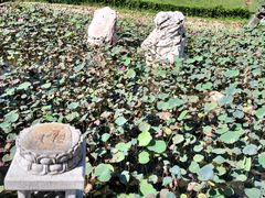 -三亚南山文化旅游区