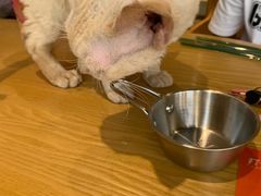 -藏猫猫咖啡主题馆(中央大道店)