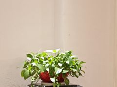 -王府井酒店(金桥港湾店)