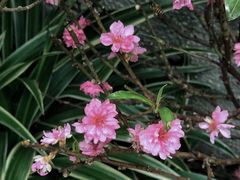 -荔湾湖公园