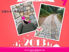 -上海佘山国家森林公园西佘山园