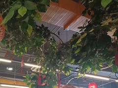 -成老灶火锅鸡(平山店)