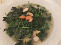 上汤辣椒叶-朱仔记食府(江南大道店)