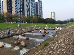 -光明小镇欢乐田园