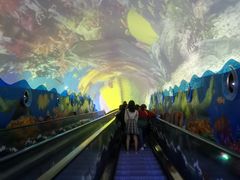 -成都浩海立方海洋公园