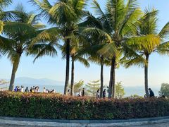 -深圳湾公园(南山区)