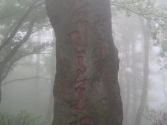-庐山风景区花径公园