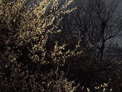 -木守西溪溪隐餐厅