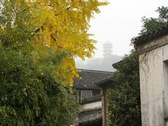 -惠山古镇·寄畅园