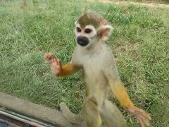 -石家庄市动物园