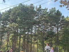-玉泉威虎山森林公园