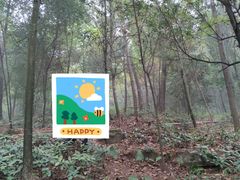 -铁山坪森林公园