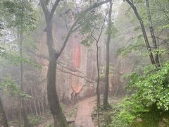 -五女峰国家森林公园