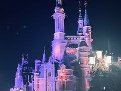 -上海迪士尼度假区