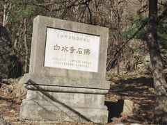 -白水寺森林公园