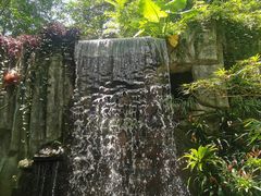-青青世界