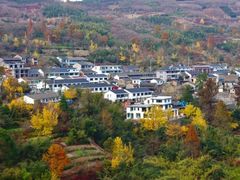 -四明山国家森林公园