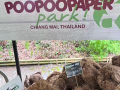 -大象粑粑造纸公园