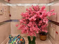 -美林大浴场(奥体中心店)