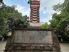 -塔子山公园