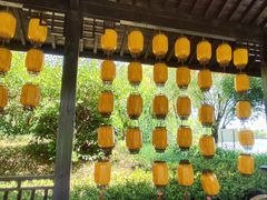 -长兴太湖图影湿地文化园