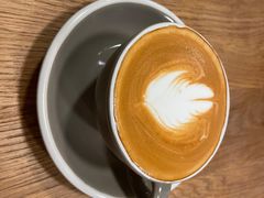 -Wagas沃歌斯(汇智店)