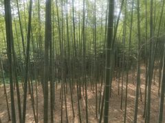 -陶祖圣境风景区