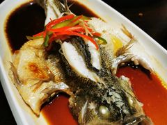 -阿西娅食府(中关村店)