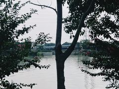 -黄埔古港