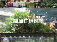 -凯德广场(学府店)