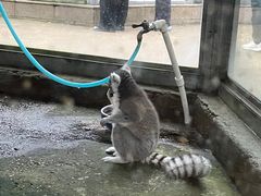 -水绘园