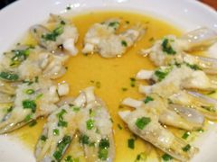 蛏子-云中鱼蒸汽石锅鱼(浦东食品城店)