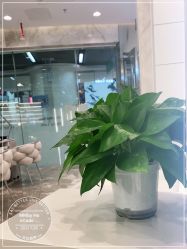 点击看大图 -MMby HairCode 芭曲发型概念店