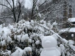 -秦岭终南山世界地质公园翠华山景区