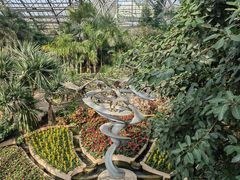 -南山植物园
