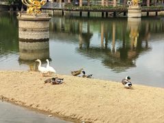 -茵特拉根酒店·西餐厅