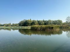 -溱湖国家湿地公园