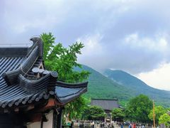 -句容茅山景区