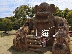 -嘉北郊野公园