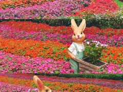 -徐家汇公园